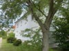 3 Zimmerwohnung in ruhiger Wohnlage - Hausansicht